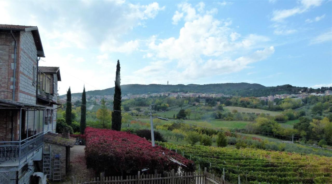 Agriturismo La Pietriccia Chianciano Terme Luaran gambar