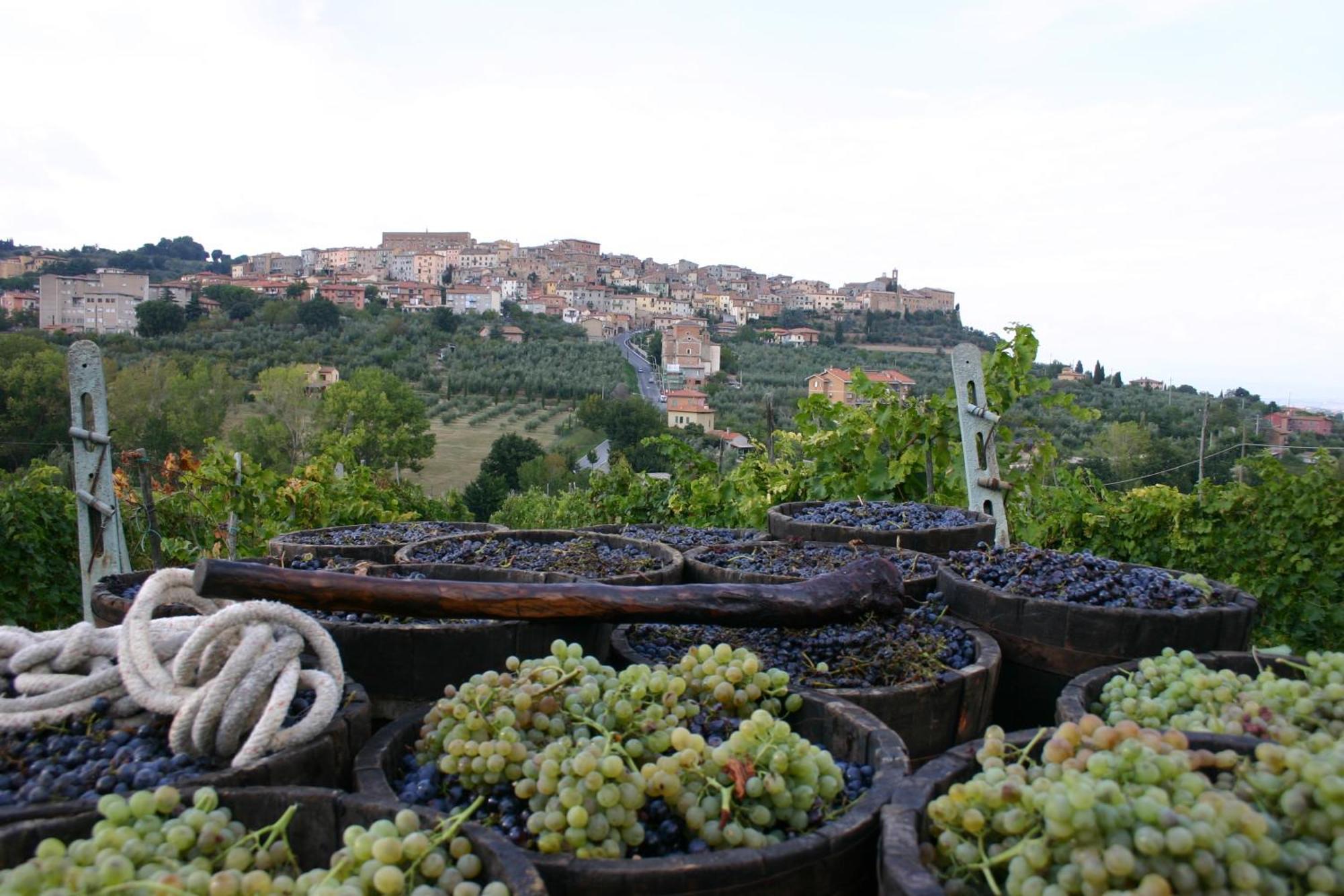 Agriturismo La Pietriccia Chianciano Terme Luaran gambar