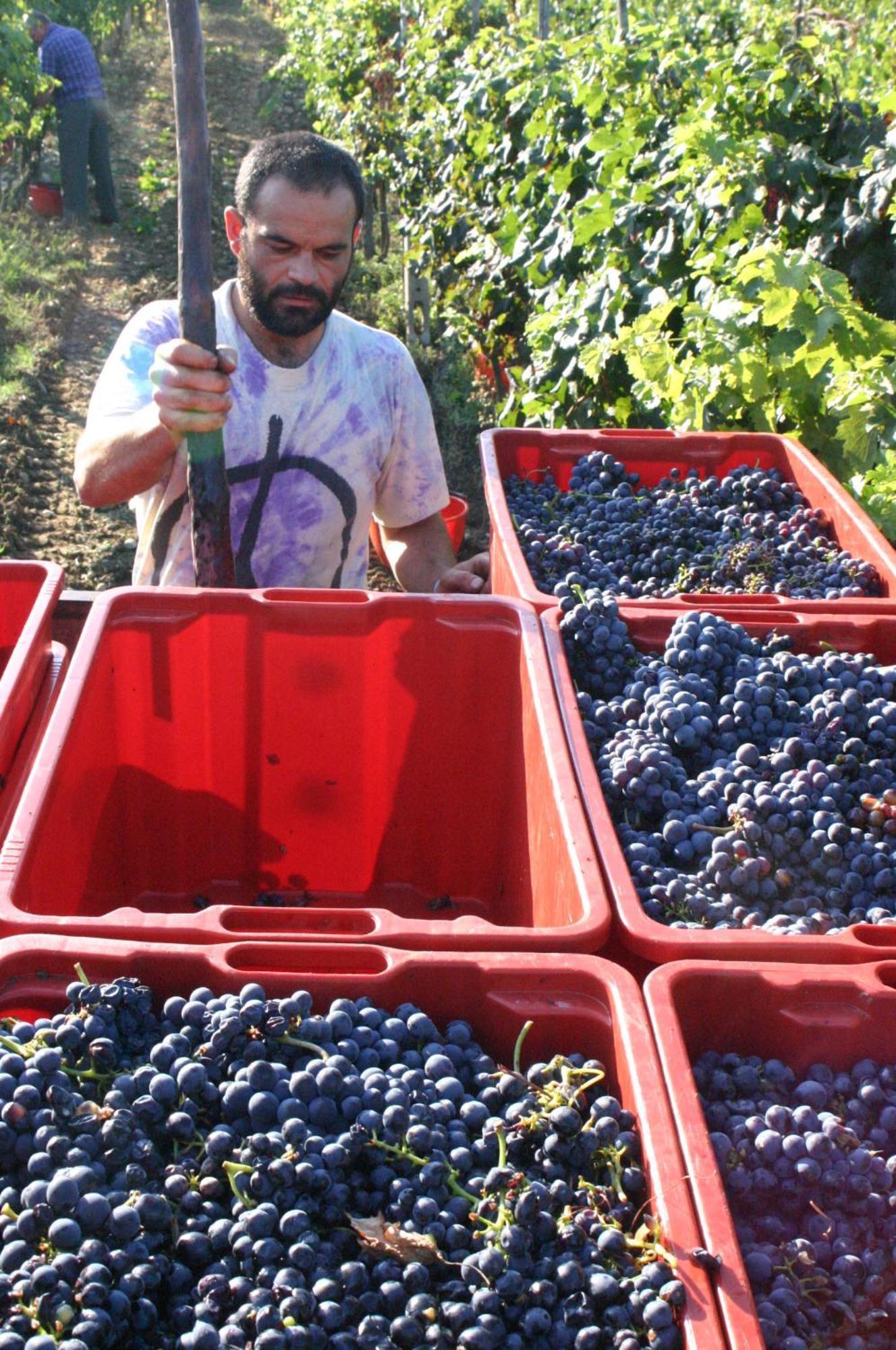 Agriturismo La Pietriccia Chianciano Terme Luaran gambar