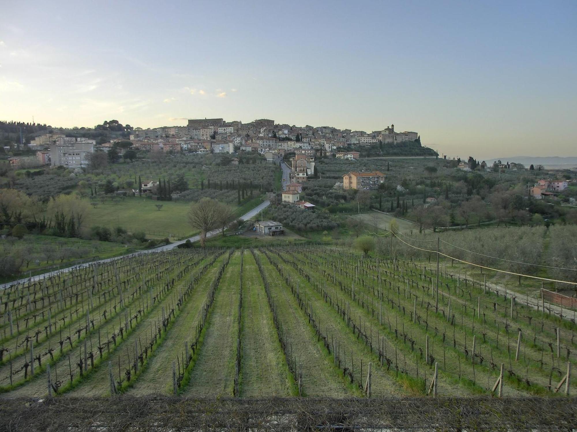 Agriturismo La Pietriccia Chianciano Terme Luaran gambar