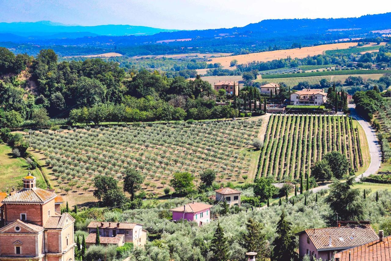Agriturismo La Pietriccia Chianciano Terme Luaran gambar